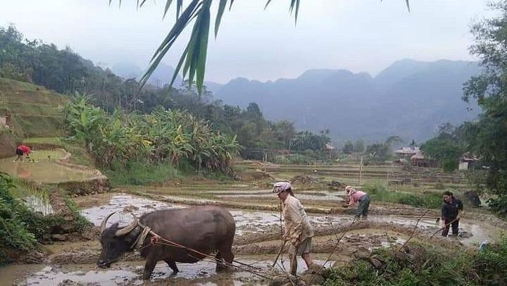 Da Lat Easy Rider Tour: Pongour Falls, K'Ho Village, Pepper Farm and Rice Wine (4/12)