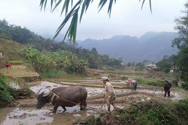 Da Lat Easy Rider Tour: Pongour Falls, K'Ho Village, Pepper Farm and Rice Wine (4/12)