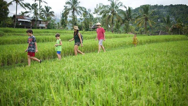 Haunted Valley Waterfall Tour by Finn Komodo Buggy and Mountain Bike, Munduk (2/8)