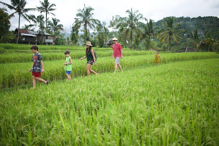 Haunted Valley Waterfall Tour by Finn Komodo Buggy and Mountain Bike, Munduk (2/8)