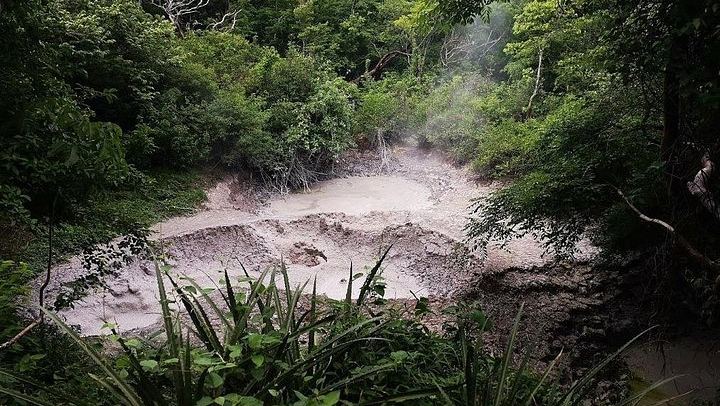 Private Rincon de la Vieja Hike and Oropendola Waterfall Swim with Hotel Pickup (2/7)