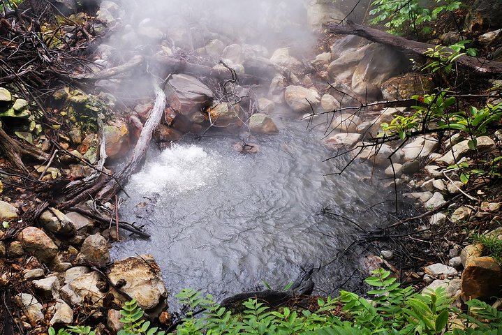 Private Rincon de la Vieja Hike and Oropendola Waterfall Swim with Hotel Pickup (5/7)