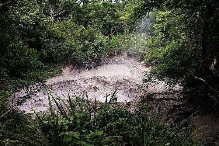 Private Rincon de la Vieja Hike and Oropendola Waterfall Swim with Hotel Pickup (2/7)