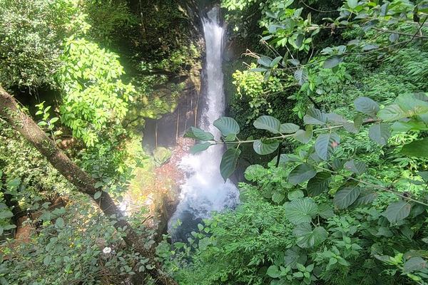 Guided Rincon de la Vieja Hike with Oropendola Waterfall Swim, Lunch and Hot Springs