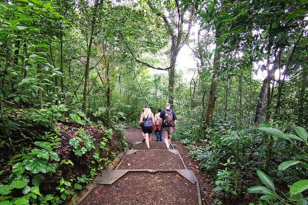 Private Rincon de la Vieja Hike and Oropendola Waterfall Swim with Hotel Pickup