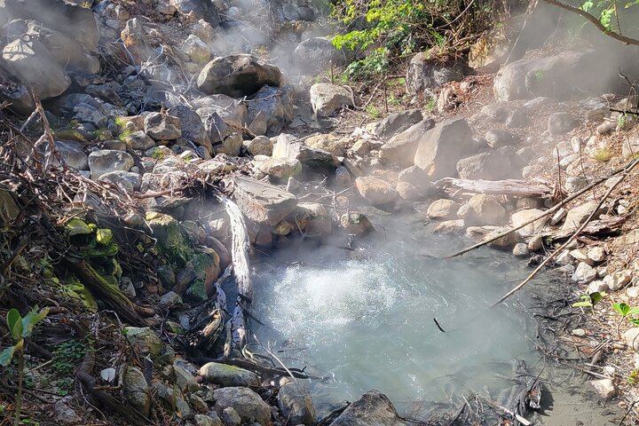 Guided Rincon de la Vieja Hike with Oropendola Waterfall Swim, Lunch and Hot Springs (5/9)