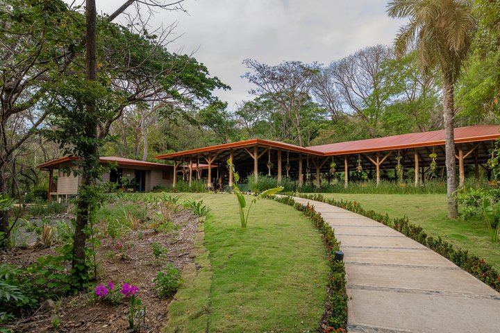 Las Pailas Trail, Oropendola Waterfall and Hot Springs Combo from Hacienda Guachipelin (8/10)