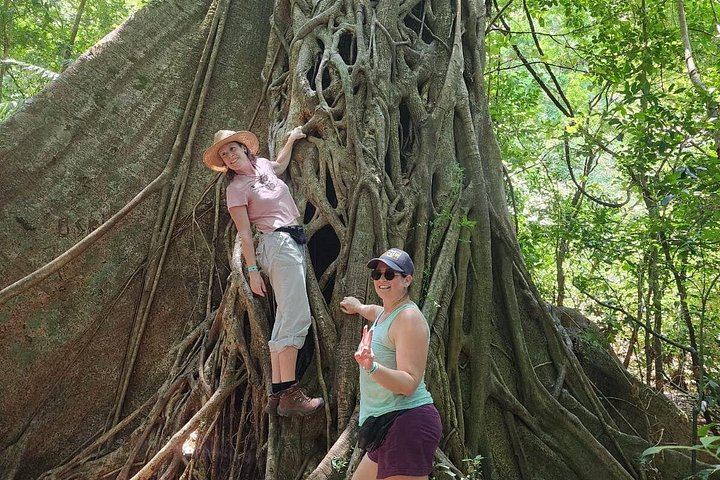 Rincon Volcano Park Trek, Oropendola Waterfall, Local Lunch and Volcanic Mud Soak (10/12)