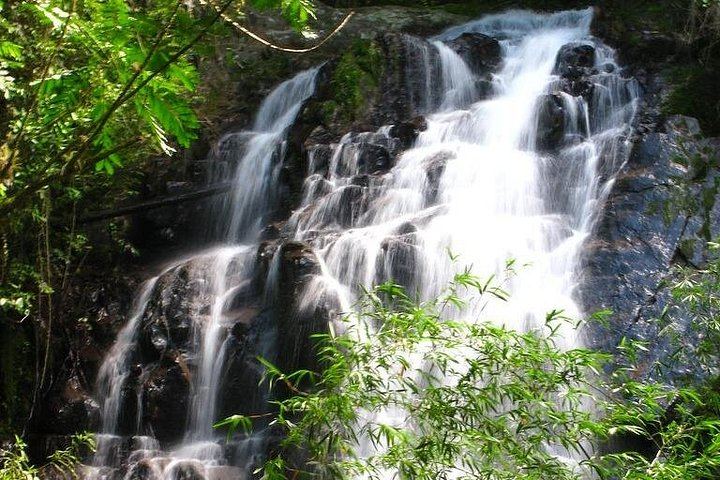 Rincon Volcano Park Trek, Oropendola Waterfall, Local Lunch and Volcanic Mud Soak (9/12)