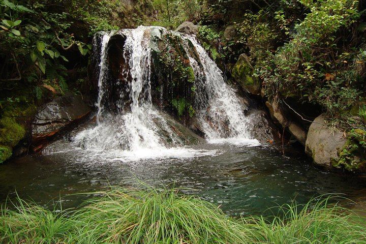 Rincon de la Vieja Horseback Ride to Waterfalls and Blue Pools with Costa Rican Lunch (5/6)