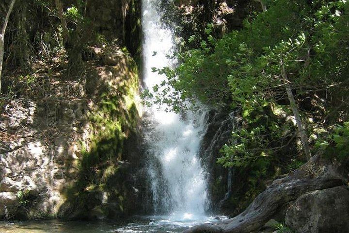 Rincon de la Vieja Horseback Ride to Waterfalls and Blue Pools with Costa Rican Lunch (6/6)