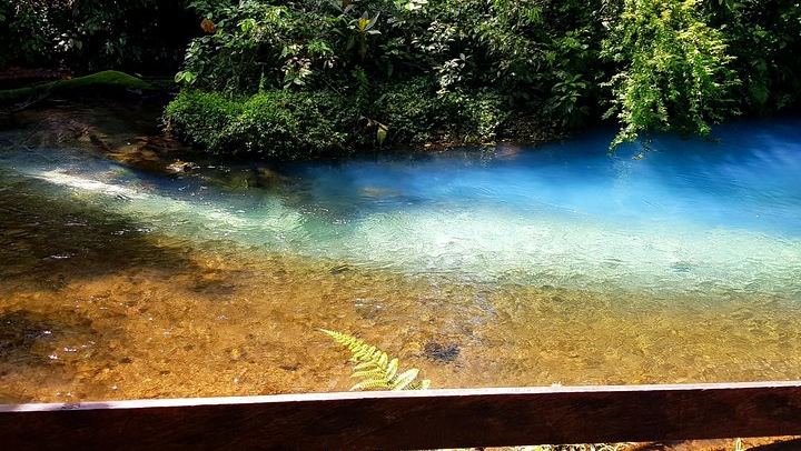 Rio Celeste Nature Hike from the Bijagua Facilities near Tenorio Volcano (2/12)