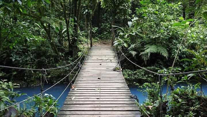 Rio Celeste Nature Hike from the Bijagua Facilities near Tenorio Volcano (3/12)