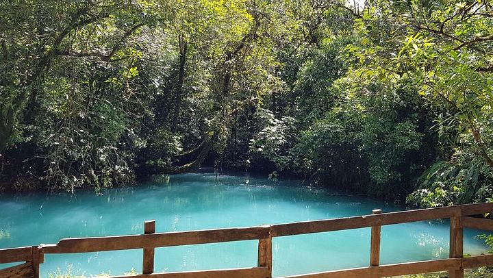 Rio Celeste Nature Hike from the Bijagua Facilities near Tenorio Volcano (4/12)