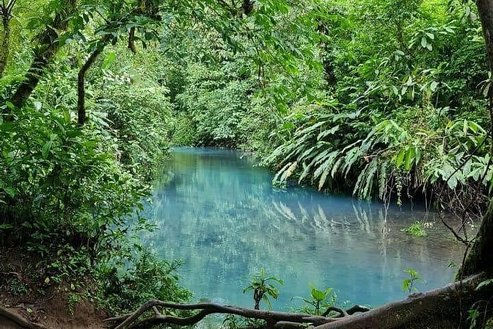 Rio Celeste Nature Hike from the Bijagua Facilities near Tenorio Volcano (9/12)