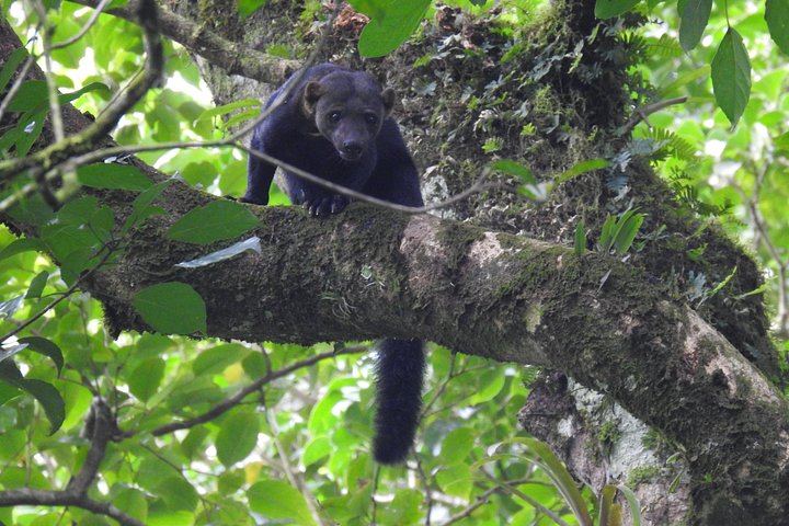 Rio Celeste Nature Hike from the Bijagua Facilities near Tenorio Volcano (11/12)