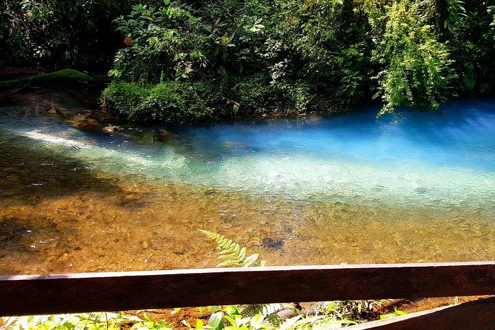 Rio Celeste Nature Hike from the Bijagua Facilities near Tenorio Volcano (2/12)