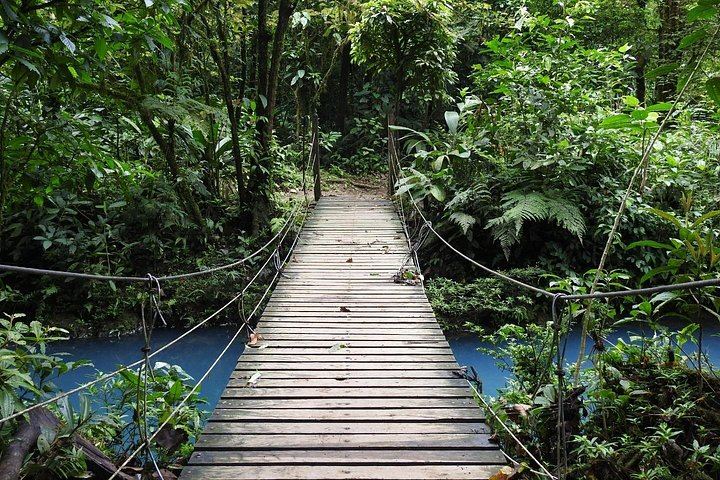 Rio Celeste Nature Hike from the Bijagua Facilities near Tenorio Volcano (3/12)