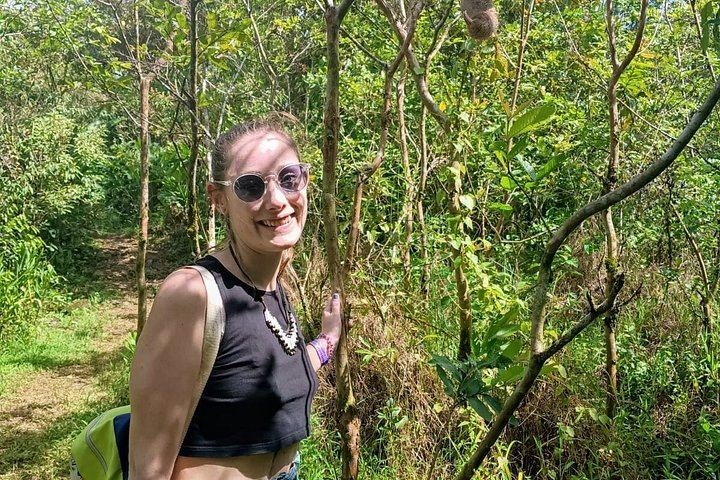 Rio Celeste, Llanos de Cortes Swim and Sloth Watching Rainforest Day Trip (6/12)