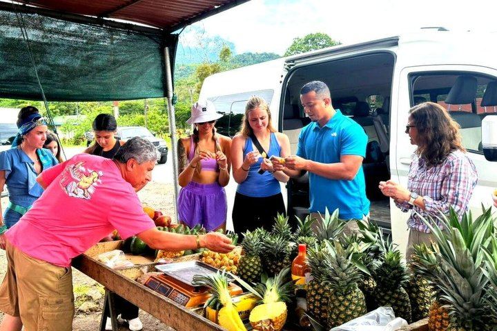 Rio Celeste, Llanos de Cortes Swim and Sloth Watching Rainforest Day Trip (7/12)