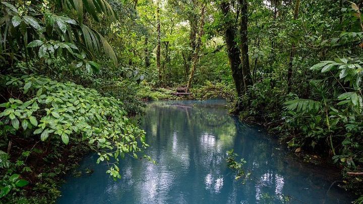 Rio Celeste Hike to Bride's Veil Waterfall, Viewpoint and Hot Springs (3/12)
