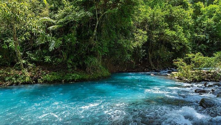 Rio Celeste Hike to Bride's Veil Waterfall, Viewpoint and Hot Springs (4/12)