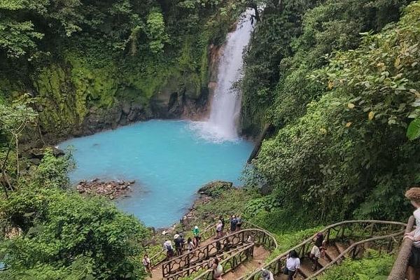 Rio Celeste Waterfall, Sloth Walk, La Abeja Lunch and Coffee-Cacao Farm