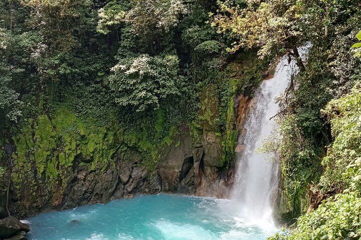 Private Rio Celeste Waterfall, Sloth Sanctuary and Butterfly Farm Day from Playa Flamingo (2/12)