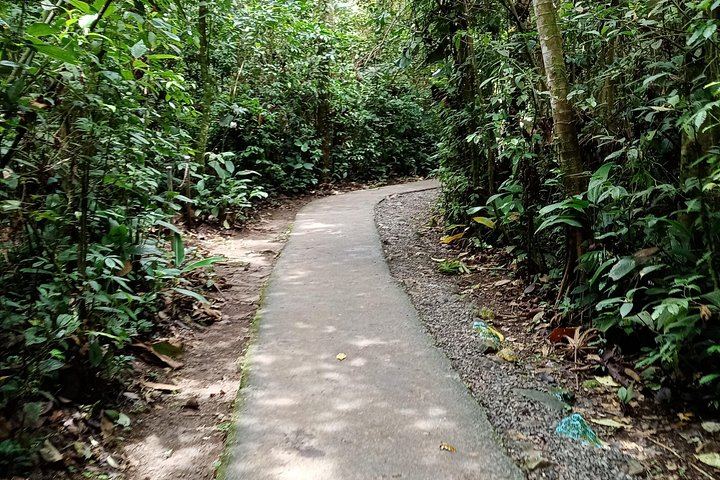 Private Rio Celeste Waterfall, Sloth Sanctuary and Butterfly Farm Day from Playa Flamingo (11/12)