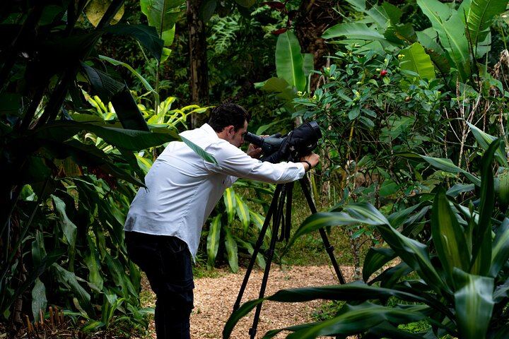 Rio Celeste Waterfall, Slothland Bijagua and Coffee-Chocolate Farm Day Trip (5/12)