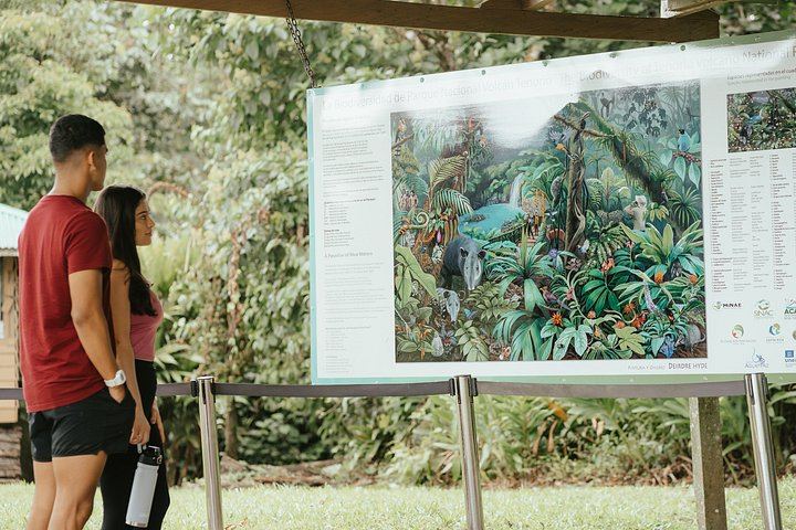 Rio Celeste Waterfall, Slothland Bijagua and Coffee-Chocolate Farm Day Trip (1/12)
