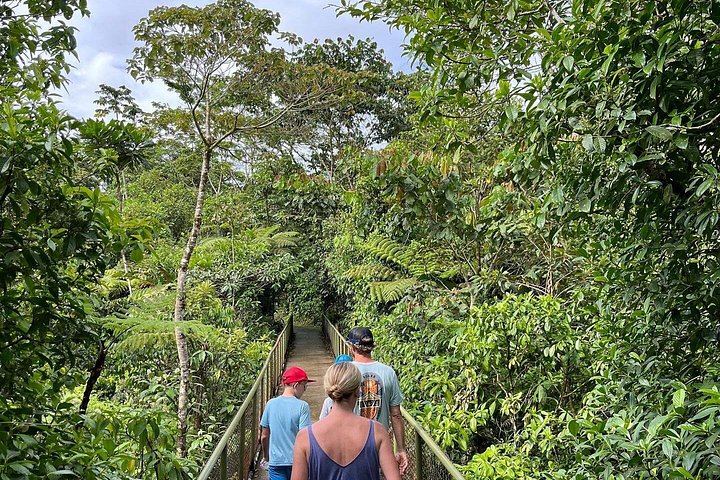 Private Rio Celeste Waterfall Hike with Sloth Sanctuary and Bijagua Lunch (6/12)