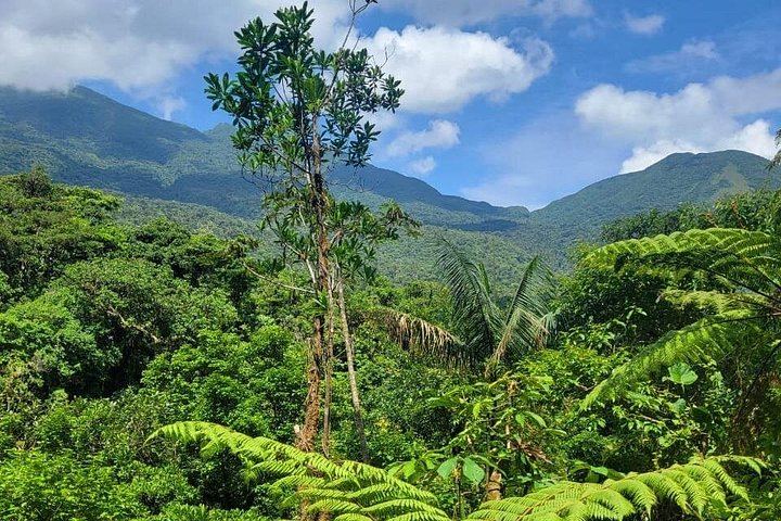 Rio Celeste Waterfall, Sloth Walk, La Abeja Lunch and Coffee-Cacao Farm (1/9)