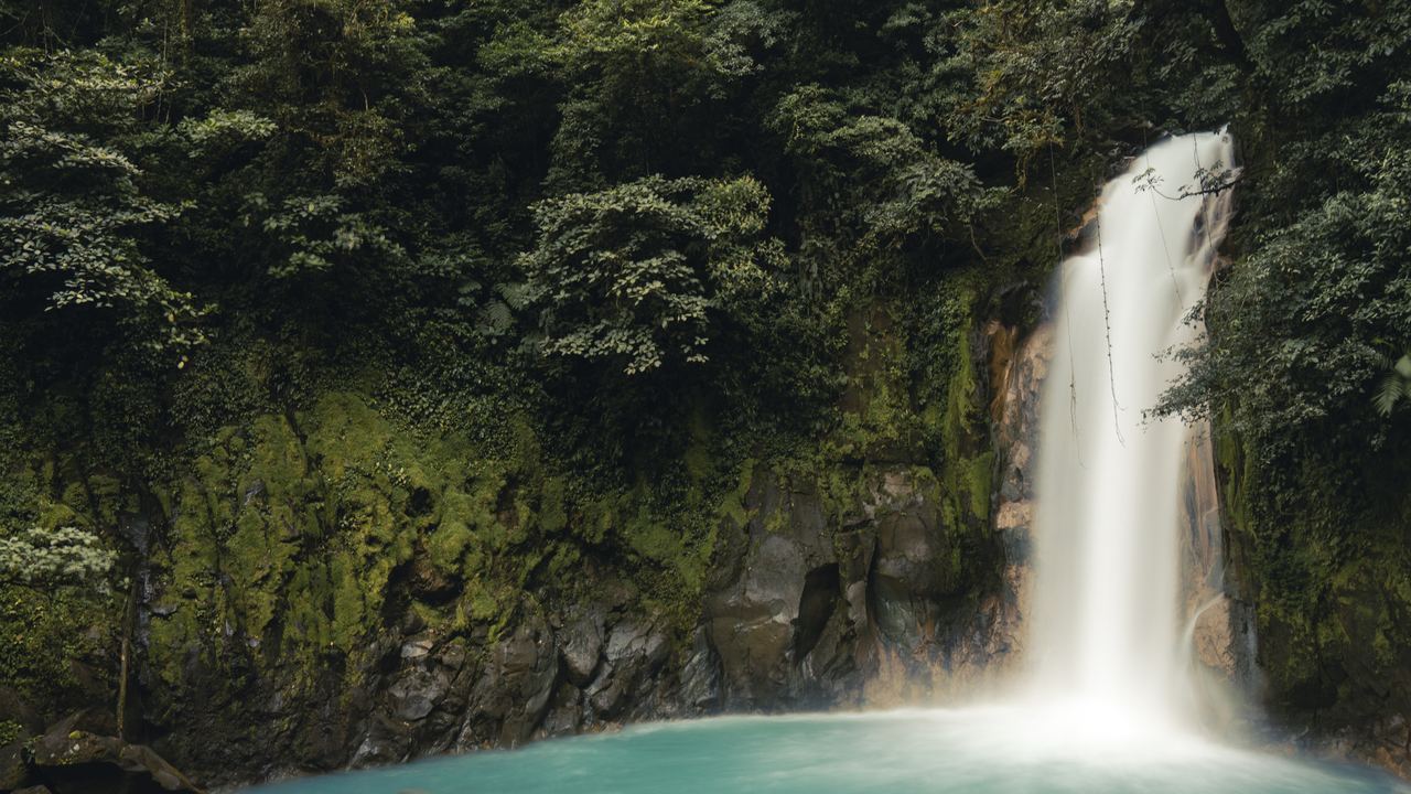 Río Celeste waterfall falling into a turquoise pool in Tenorio Volcano National Park, Costa Rica