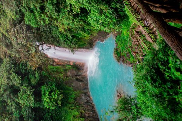 Rio Celeste, Llanos de Cortes Swim and Sloth Watching Rainforest Day Trip