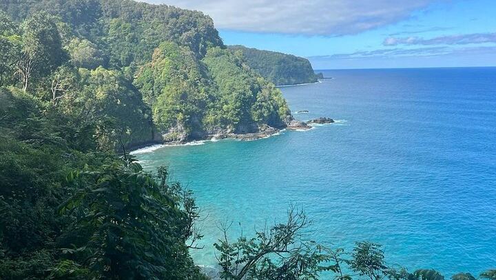 Road to Hana Tour: Wai'anapanapa Black Sand Beach, Ho'okipa Turtles and Banana Bread (4/12)