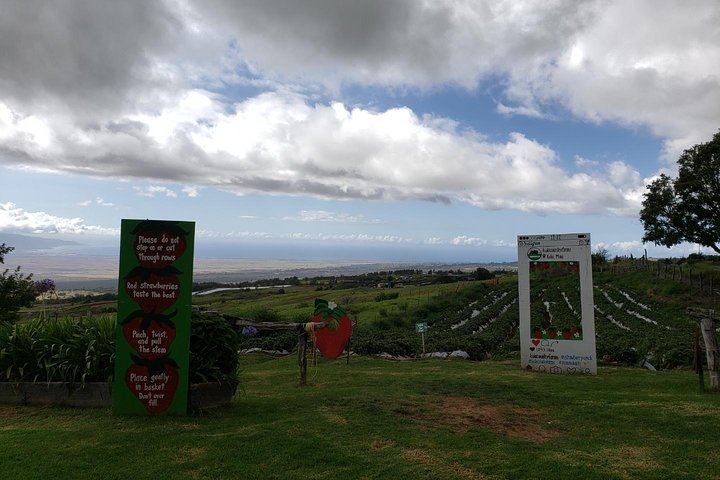 Full-Day Narrated Road to Hana Drive with Breakfast, Lunch and Black Sand Beach, 7 Hours (10/12)