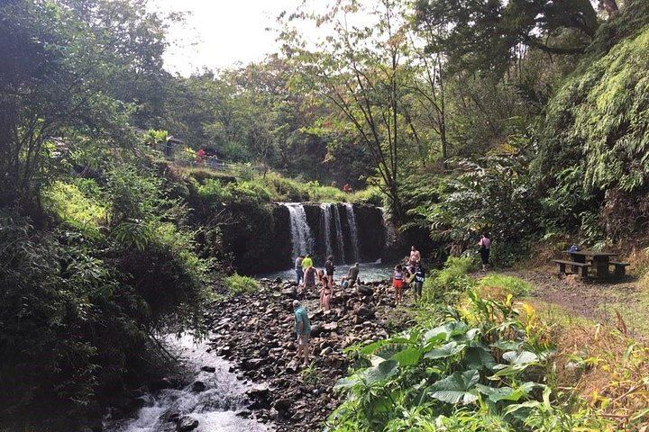 Full-Day Narrated Road to Hana Drive with Breakfast, Lunch and Black Sand Beach, 7 Hours (9/12)