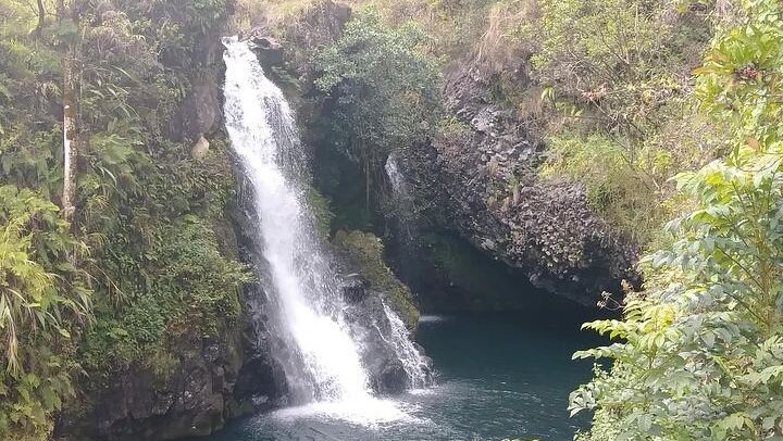 Private Jeep Road to Hana: Hidden Waterfalls, Bamboo Forest Hike and Lunch, 8 Hours (4/5)