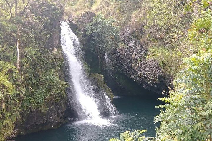 Private Jeep Road to Hana: Hidden Waterfalls, Bamboo Forest Hike and Lunch, 8 Hours (4/5)
