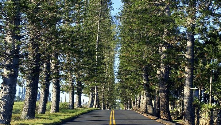 Full-Day Narrated Road to Hana Drive with Breakfast, Lunch and Black Sand Beach, 7 Hours (2/12)