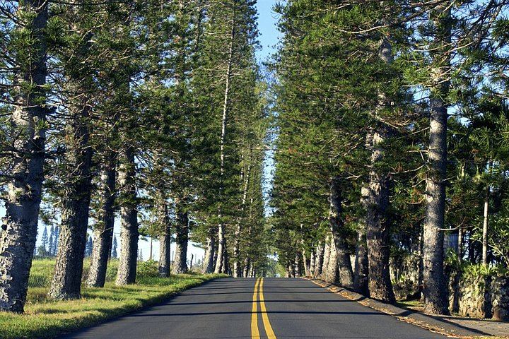 Full-Day Narrated Road to Hana Drive with Breakfast, Lunch and Black Sand Beach, 7 Hours (2/12)