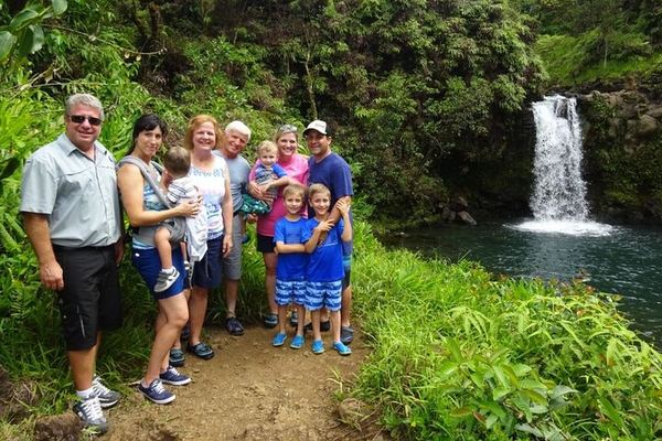 Road to Hana in a Mercedes Sprinter: Waterfalls, Wai'anapanapa Black Sand Beach, Lunch