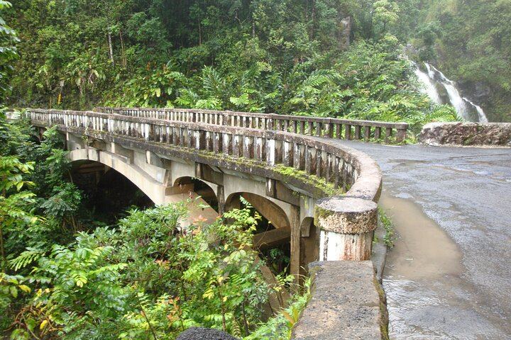 Road to Hana in a Mercedes Sprinter: Waterfalls, Wai'anapanapa Black Sand Beach, Lunch (7/12)