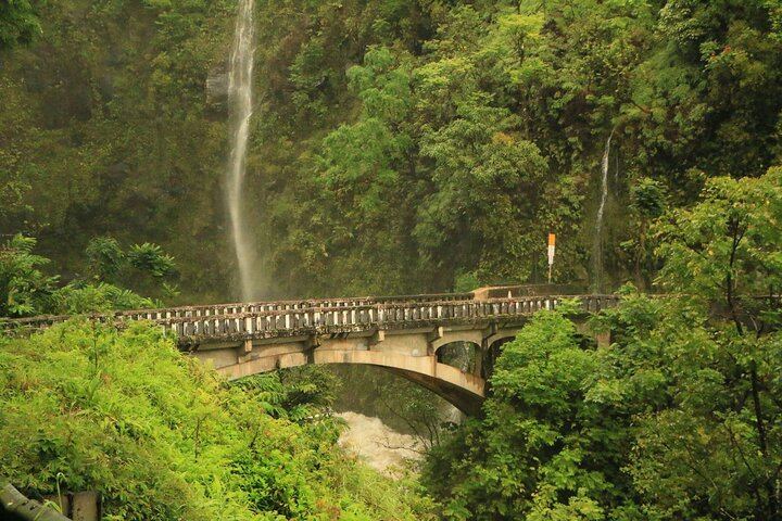 Road to Hana in a Mercedes Sprinter: Waterfalls, Wai'anapanapa Black Sand Beach, Lunch (11/12)