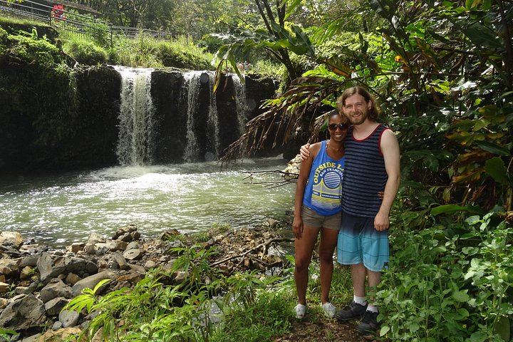 Road to Hana in a Mercedes Sprinter: Waterfalls, Wai'anapanapa Black Sand Beach, Lunch (12/12)