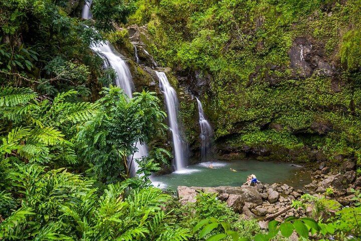 Road to Hana in a Mercedes Sprinter: Waterfalls, Wai'anapanapa Black Sand Beach, Lunch (8/12)