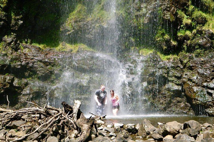 Road to Hana in a Mercedes Sprinter: Waterfalls, Wai'anapanapa Black Sand Beach, Lunch (9/12)