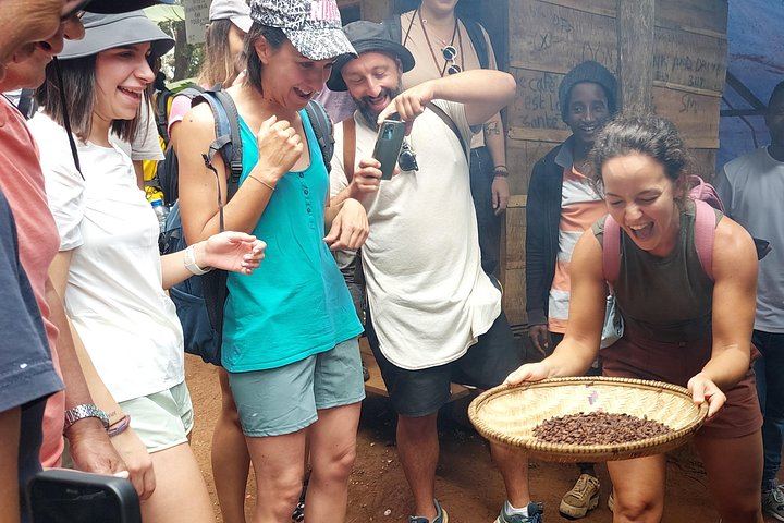 Private Materuni Waterfalls and Coffee Tour with Hot Lunch and Banana Wine Tasting (8/12)