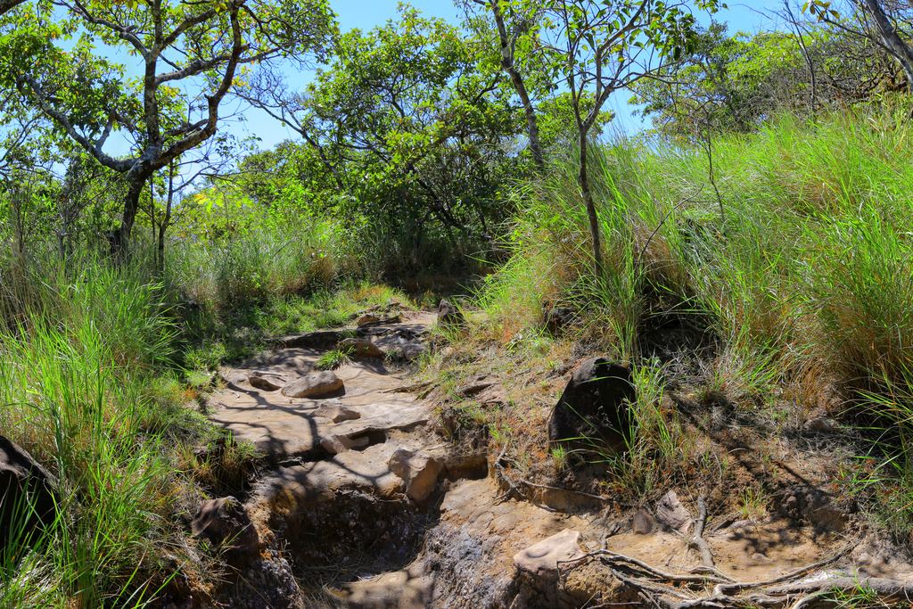 Rocky trail through dry forest and grass in Rincón de la Vieja National Park, Guanacaste